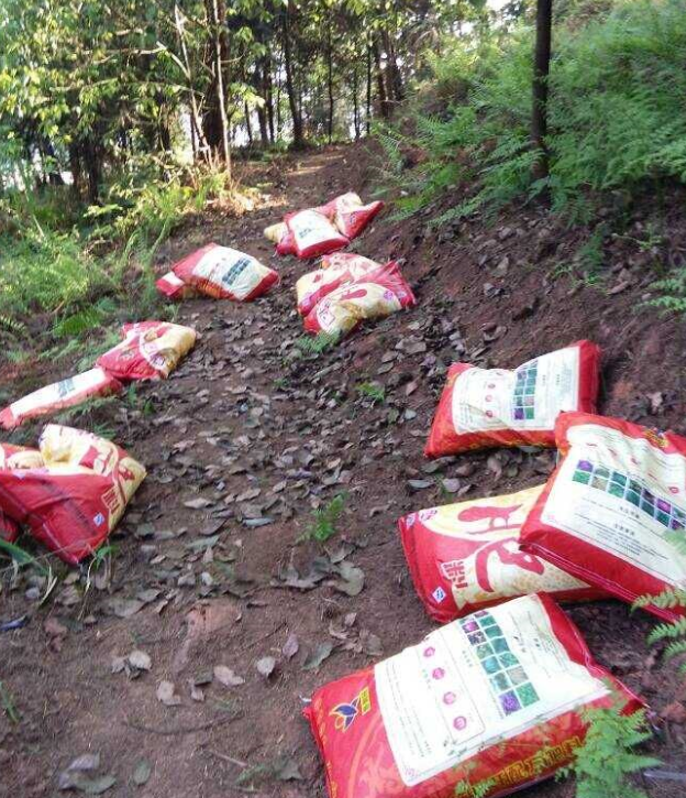 石城山工区施底肥，苗木修剪及栽植.png